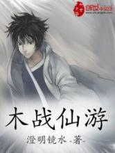 木战仙游小说