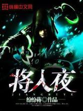 将入夜小说