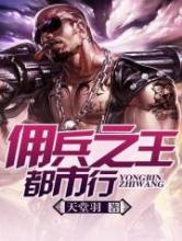 佣兵之王都市行小说