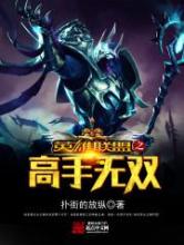 英雄联盟之高手无双小说