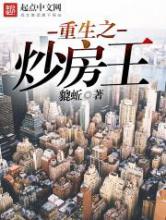 重生之炒房王小说