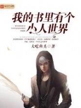 我的书里有个小人世界小说