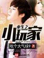 重生之小玩家小说