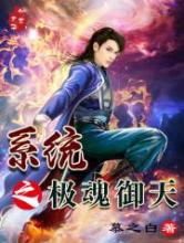 系统之极魂御天小说