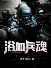 浴血兵魂小说