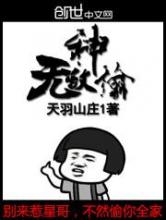 无敌神偷小说