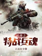 抗战之特战兵魂小说