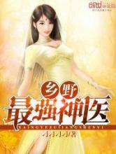 乡野最强神医小说