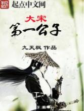 大宋第一公子小说
