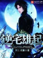 逆宅雄起小说