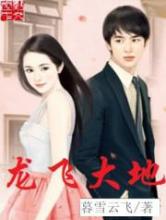 龙飞大地小说