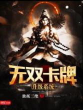 无双卡牌升级系统小说