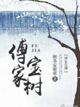 傅家宝树小说