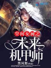 空间女神之未来机甲师小说