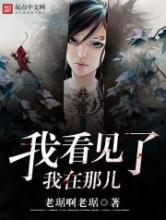 我看见了我在那儿小说