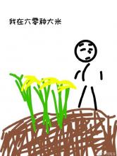 我在六零种大米小说