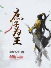 庶子为王小说