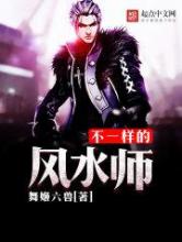 不一样的风水师小说