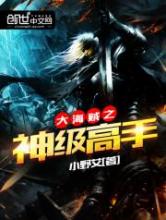 大海贼之神级高手小说