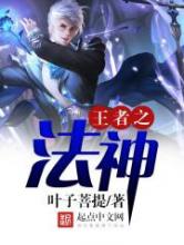 王者之法神小说