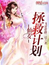 仙女拯救计划小说