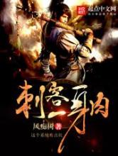 刺客一身肉小说