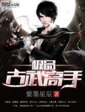 极品古武高手小说