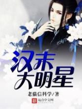 汉末大明星小说