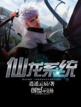 仙龙系统小说