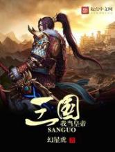 三国我当皇帝小说