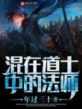 混在道士中的法师小说