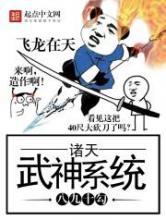 诸天武神系统小说