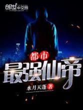 最强都市仙帝小说