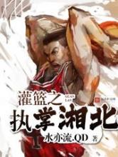 灌篮之执掌湘北小说