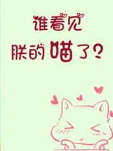 谁看见朕的喵了？小说