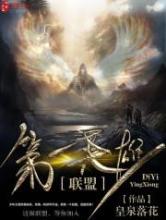 联盟第一英雄小说
