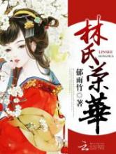 林氏荣华小说