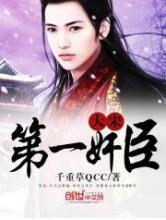 大宋第一奸臣小说