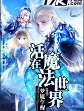 活在魔法世界小说