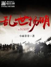 乱世扬明小说