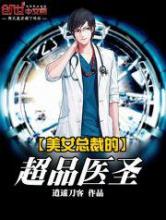 美女总裁的超品医圣小说