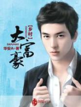 乡村大富豪小说