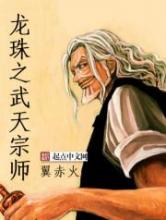 龙珠之武天宗师小说