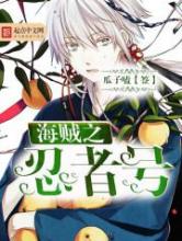 海贼之忍者号小说