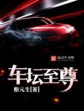 车坛至尊小说