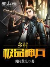 乡村极品神兵小说