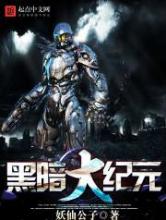 黑暗大纪元小说