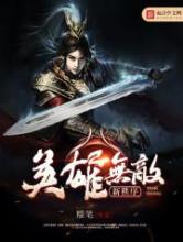 英雄无敌新秩序小说