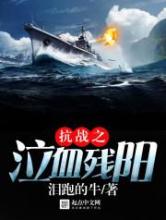 抗战之泣血残阳小说