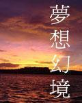 梦想幻境小说